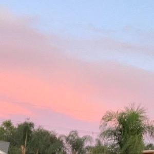 Meet your Posher, Kaylie